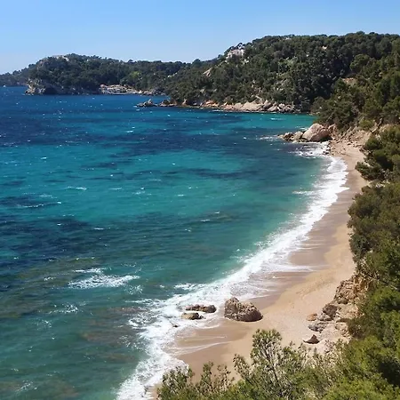 Сasa de vacaciones Maison Toute Rénovée - Jardin - Plages à 1km Le Pradet
